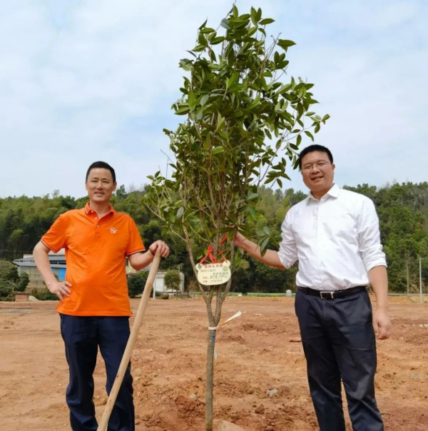 湖南完美体育生态环境建设有限公司,人造草坪假草皮,湖南雨水收集处理工艺